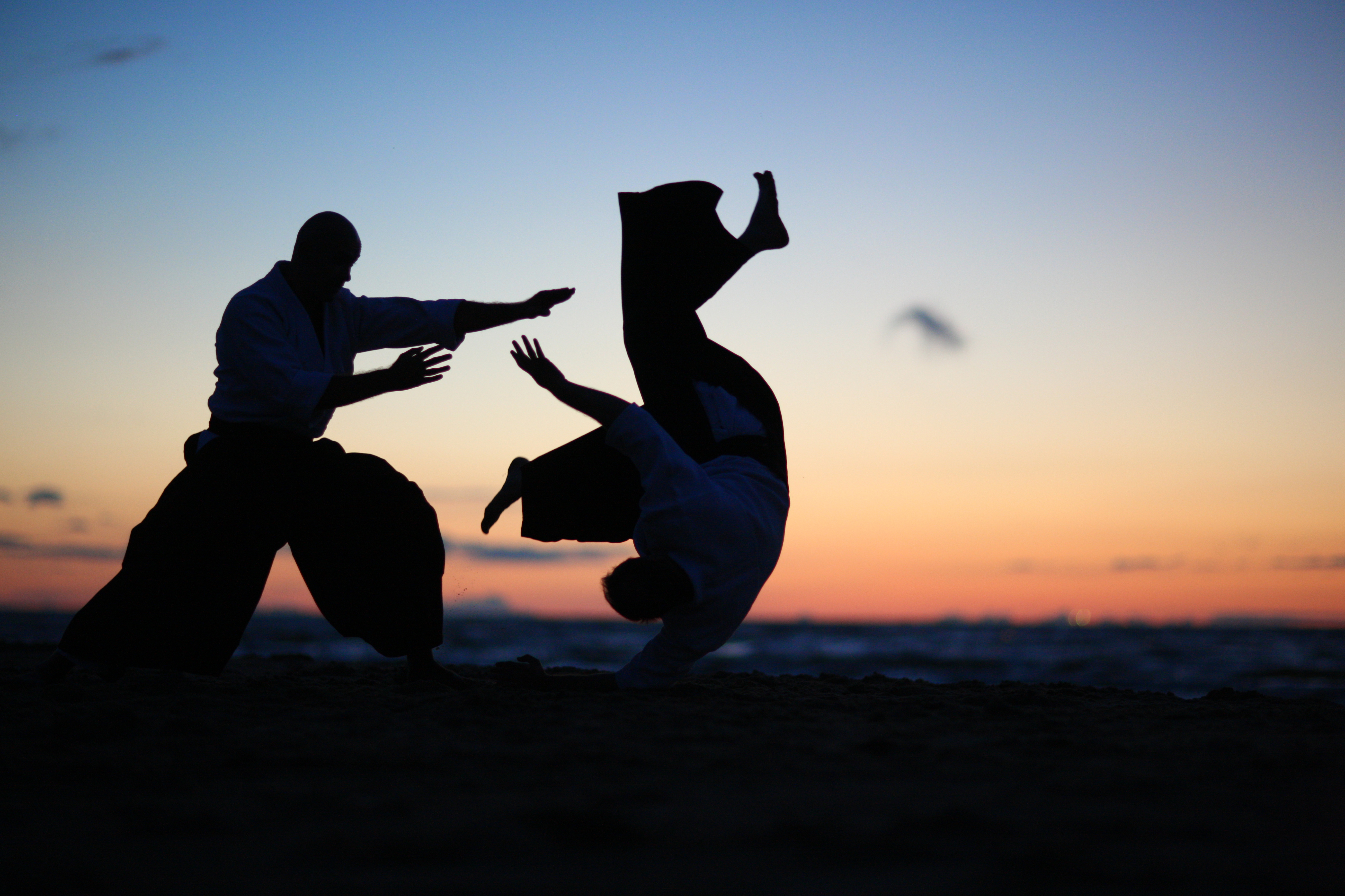 two individuals practicing aikido as the sun sets in the background